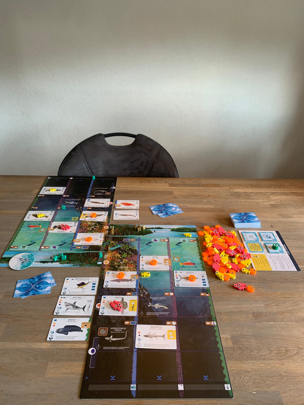 Groei-tokens voor Finspan